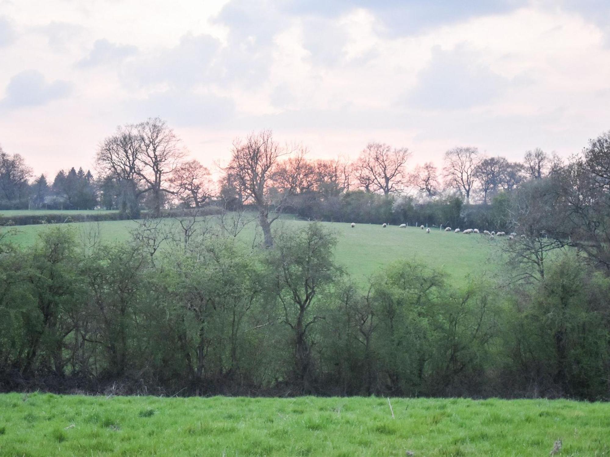Hollywell Holiday home